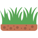 Lawn Care